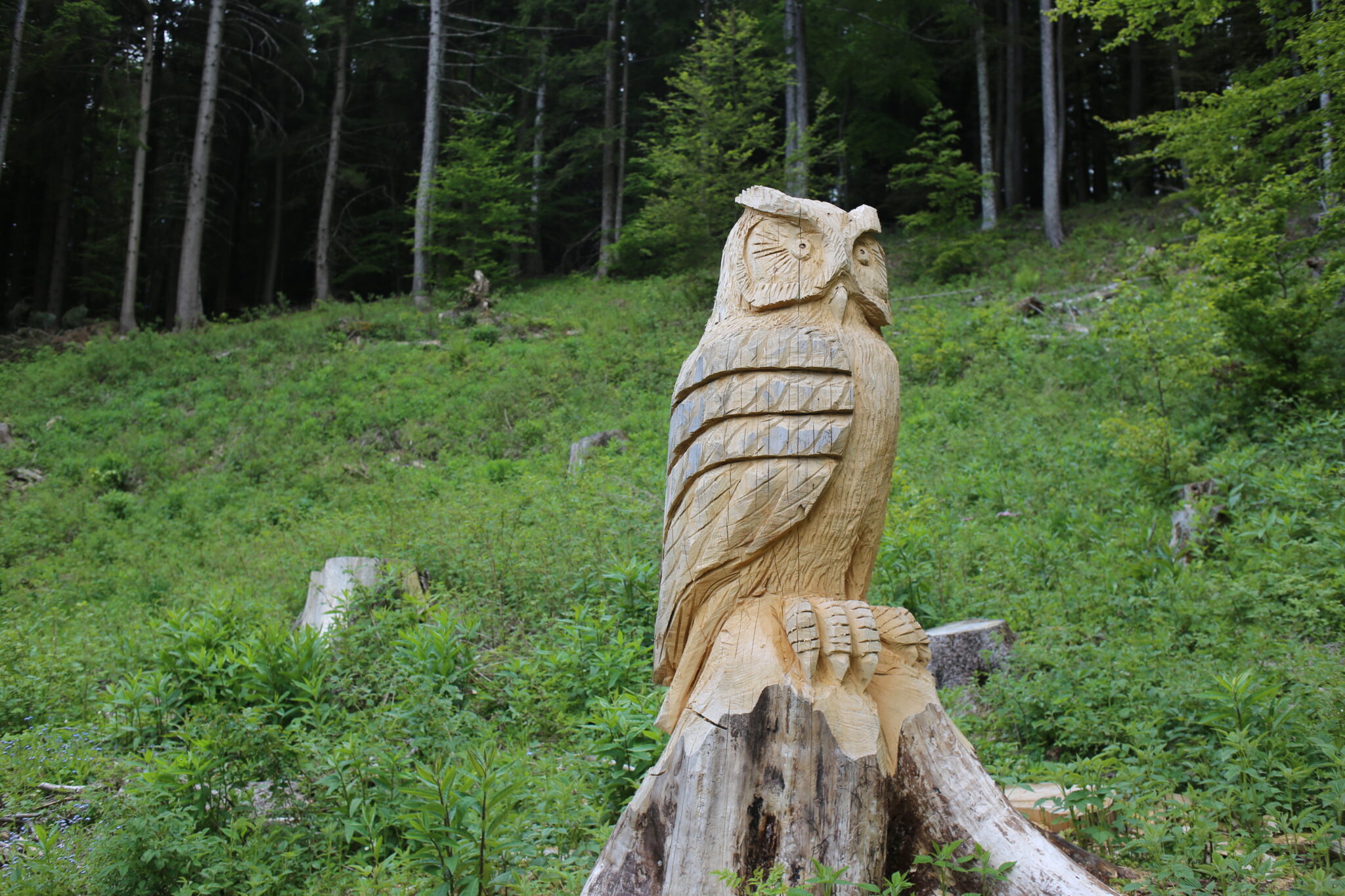 scultura gionata orsini cimoncino