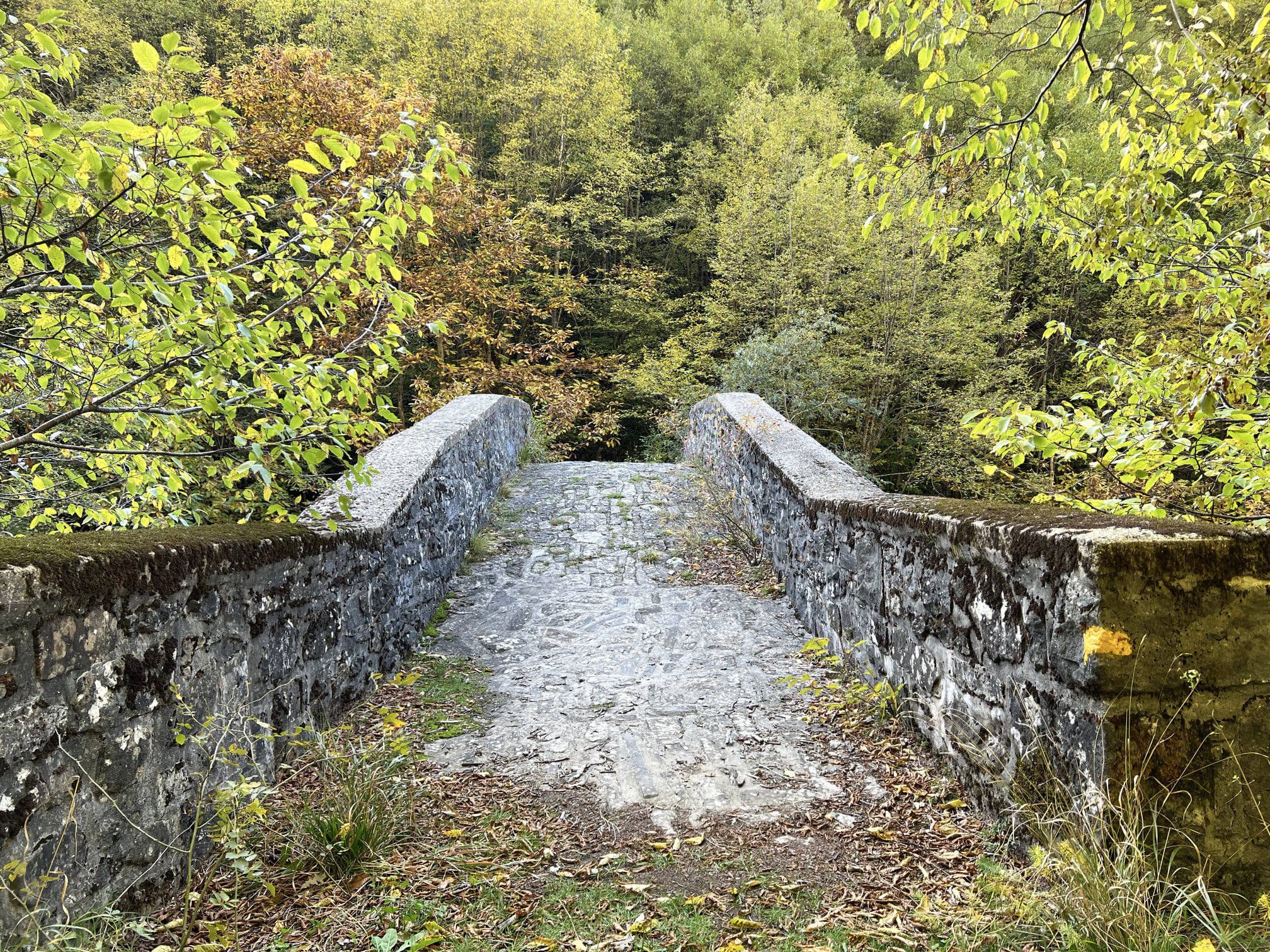 ponte fola alto