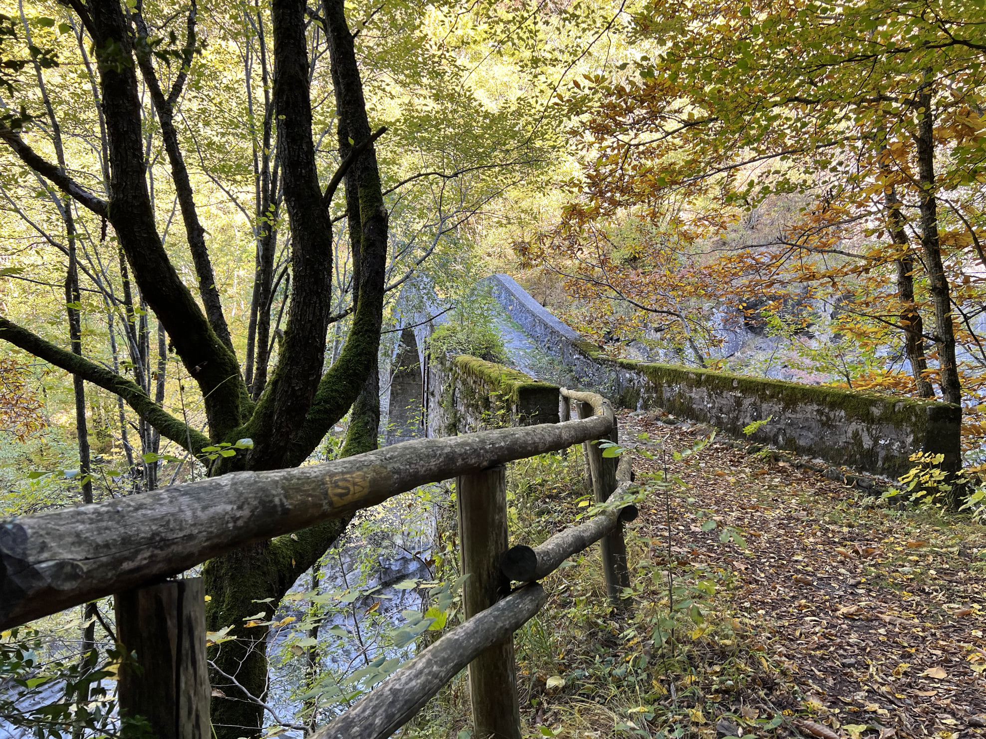 ponte fola alto